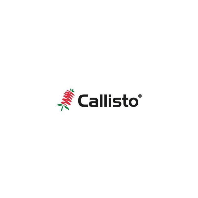Callisto (1L)