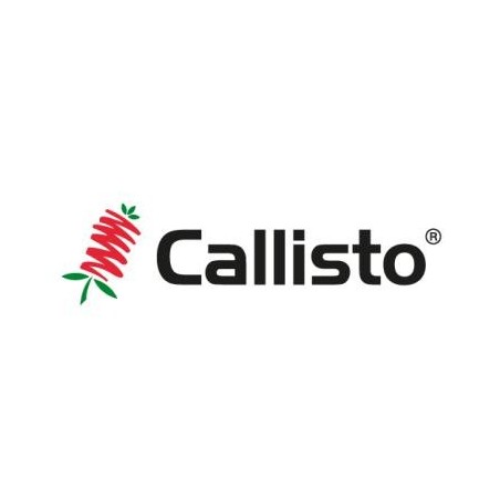 Callisto (1L)