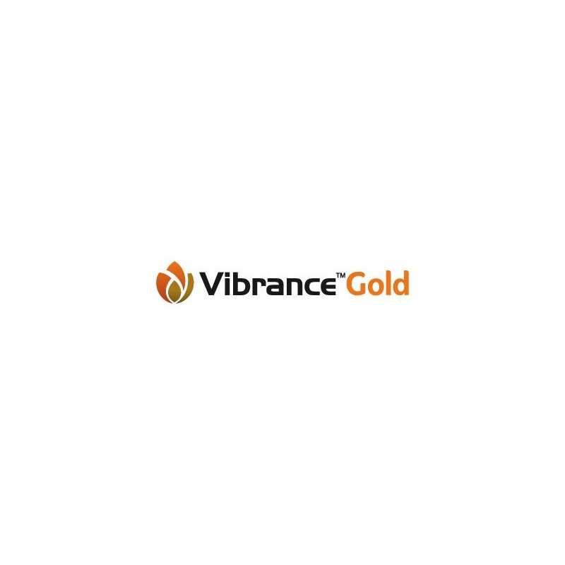 Vibrance Gold (5L)