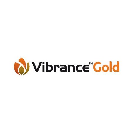 Vibrance Gold (5L)