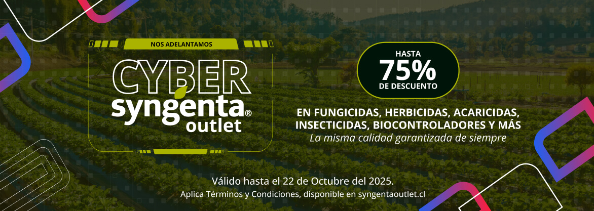 cyber syngenta