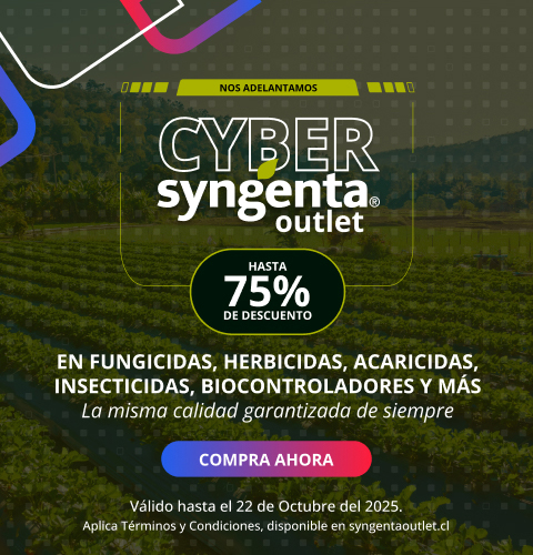 Cyber Syngenta